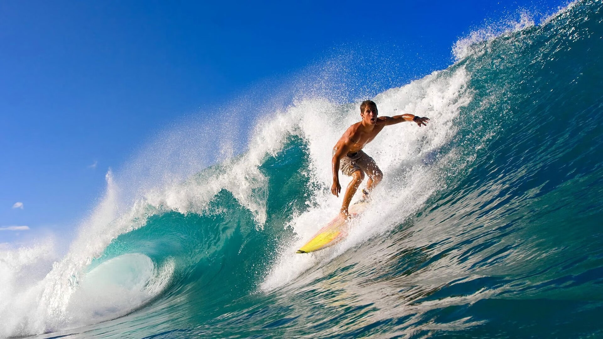 火箭5连胜,申京强势发挥,阿门稳步上升,火箭5连败