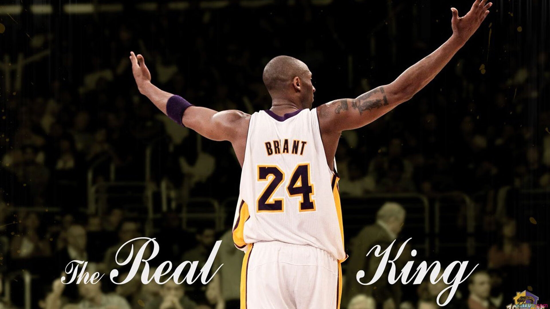 星空娱乐网站官网-“高新体育中心羽毛球赛：选手精准击球，精彩纷呈”