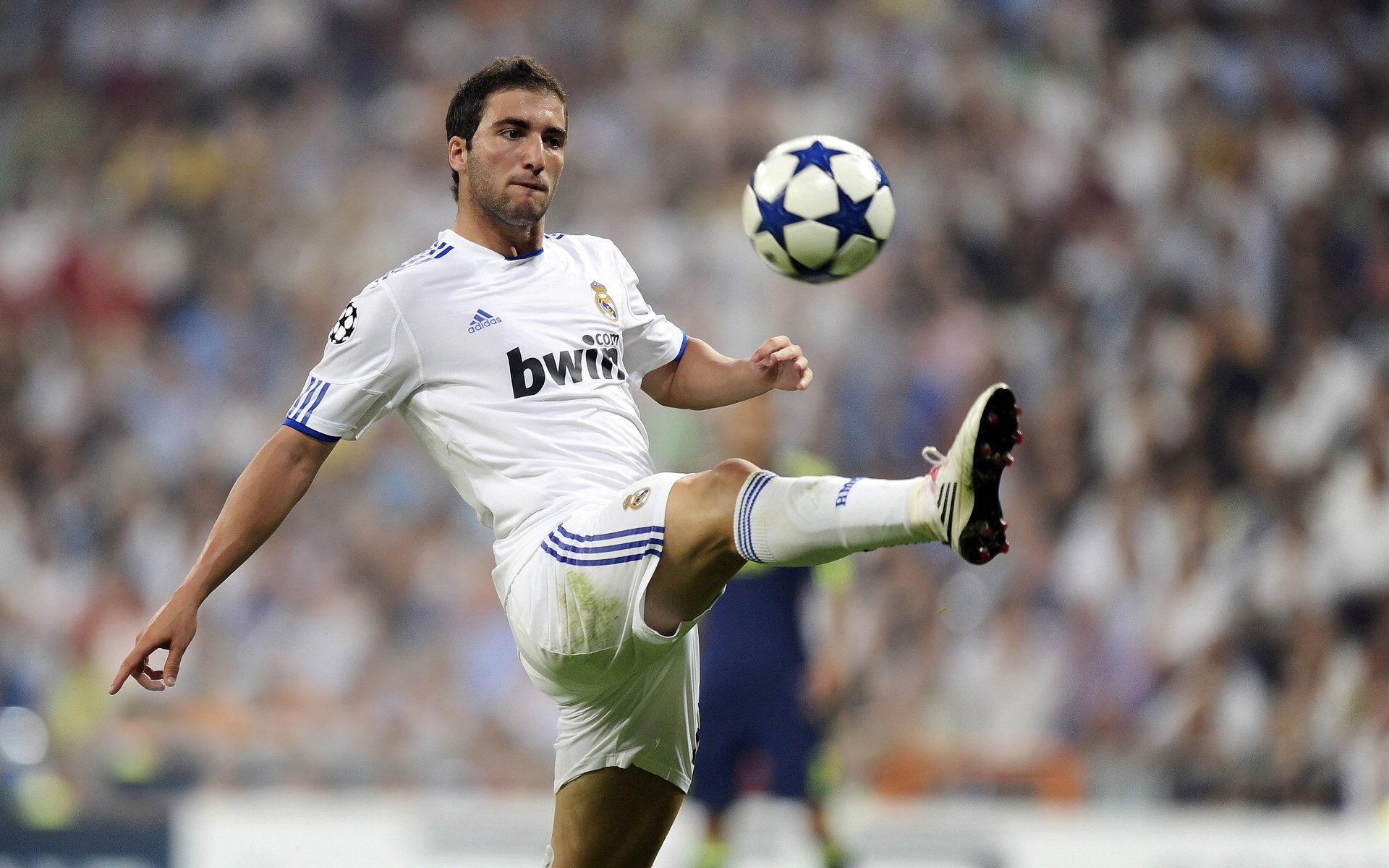 自由搏击选手科学减重项目展开实地验证,自由搏击减脂